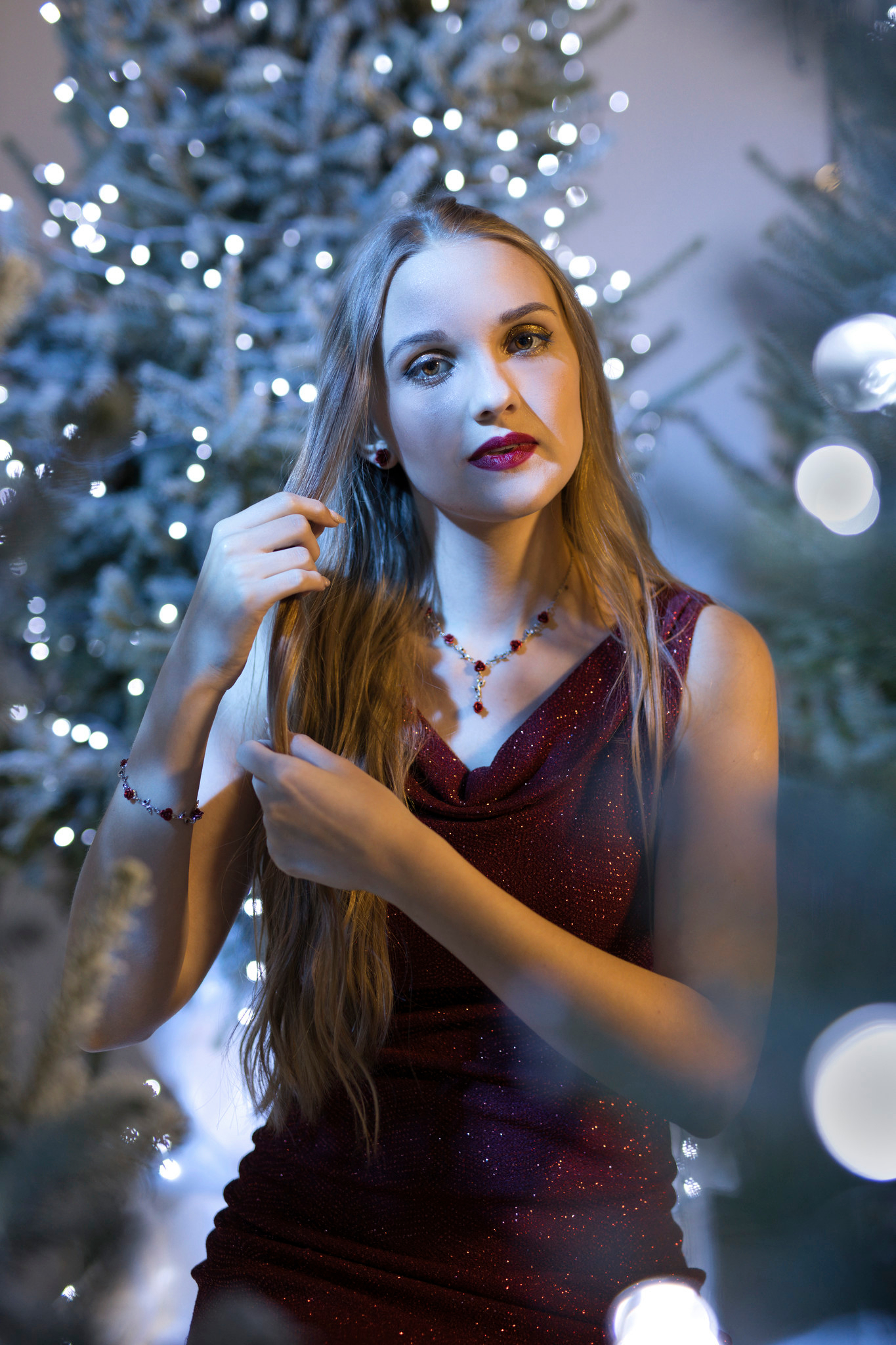 Christmass portrait